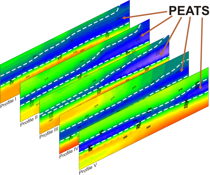 GeoSpectrum - Seismic MASW sections present changes in the thickness of the layers and allow to determine the volume of peats