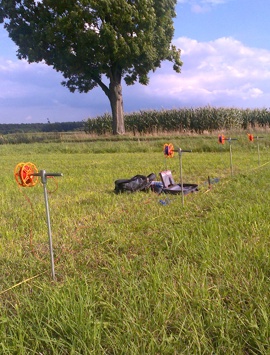 GeoSpectrum - Electrical resistivity survey to identify the proper layers for grounding of the designed wind turbine
